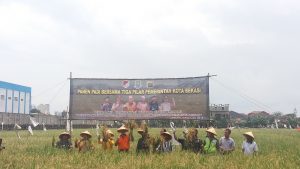 Jaga Ketahanan Pangan Wilayah, Koramil 01/Kranji – Kodim 0507/BKS Kembali Panen Padi Raya