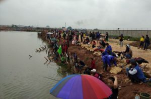 Mancing Bersama, Jasmerah Sebar 1 Ton Lele
