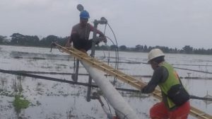 12 Tiang Listrik Roboh, PLN UP3 Cikarang Reaksi Cepat Lakukan Penormalan
