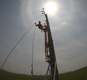 PLN Cikarang Catat Penambahan Pelanggan PLN Mobile dan Peningkatan Penjualan Listrik Hingga 6.324 GWh