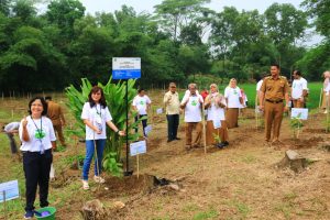 Konsisten Penghijauan, BCA Tanam 1.000 Bibit Pohon