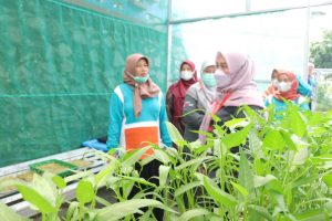 Penilaian Kampung Tangguh Jaya Masuk Tingkat Kota