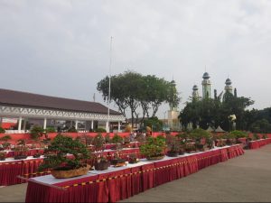 Rumah Bonsai Indonesia Dorong Destinasi Bonsai di Bekasi