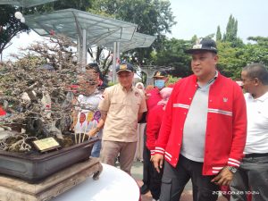 Presiden RUBI Ajak Warga Bekasi Budidaya Bonsai