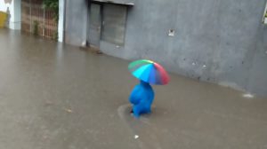 Delapan Titik di Empat Kecamatan Terendam Banjir