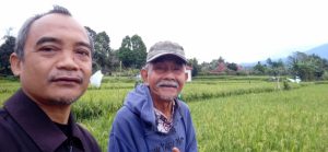 Pagi Ini Di Sawah