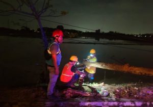 PLN Cikarang Gerak Cepat Perbaiki Tiang Listrik Roboh