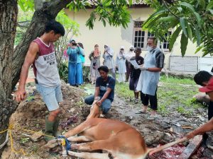 Melalui Kurban, Puskesmas Babelan I Bina Keakraban dengan Warga