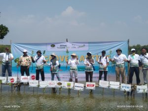 ECO Week Jababeka Tanam 50 Ribu Bibit Mangrove di Muara Gembong