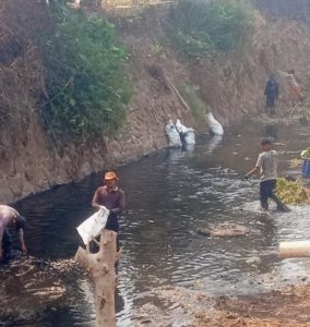 Terjun Ke Kali, Pasukan Katak DLH Kota Bekasi Bersihkan Sampah Dan Gulma di Mustikajaya