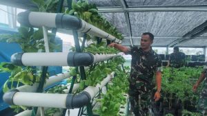 Wujudkan Ketahanan Pangan, Kodim 0507 Bekasi Bangun Urban Farming
