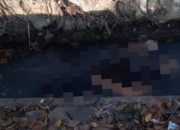 Geger Penemuan Mayat Wanita di Selokan, Ada Luka Benturan