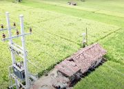 Sukses Tambah Pelanggan, Kunci Membaiknya Kinerja PLN 2023, Terbanyak Golongan Rumah Tangga