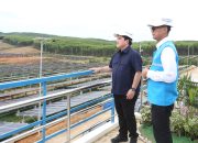 Menteri BUMN Apresiasi Gerak Cepat PLN Hadirkan Energi Bersih di IKN