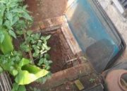 Bocah di Bantargebang Tewas Terbungkus Karung, Diduga Dibunuh Tetangga Sendiri