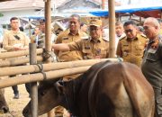 Pastikan Hewan Kurban Sehat, Pj Wali Kota Bekasi Monitoring ke Lapak Pedagang