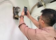 Ingat, Tanggal 23-27 Saatnya Catat Meter Mandiri di PLN Mobile