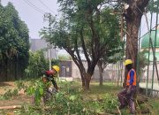 Jaga Keandalan Pasokan Listrik Jelang HUT Kemerdekaan RI, PLN Cikarang Pangkas Pohon Dekat Jaringan
