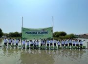 Jababeka bersama Tenant Capai Target Tanam 50.000 Bibit Mangrove