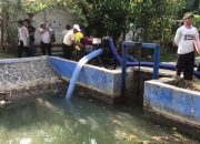 Pemkab Bekasi Akan Tanam Padi Serentak