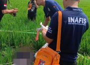 Mayat Pria Ditemukan di Tengah Sawah Cibitung, Polisi Duga Korban Tewas Akibat Tersengat Listrik