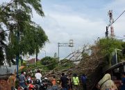 Pohon Beringin di Depan Stadion Patriot Tumbang, Dua Motor Warga Ringsek