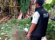 Sempat Pergi Dari Rumah, Lansia di Tambun Ditemukan Tinggal Kerangka