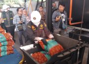 Badan Karantina Indonesia Musnahkan Puluhan Ton Bawang Bombay Yang Tercemar Bakteri Berbahaya