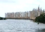 Nelayan Pantai Makmur Ikut Protes Pagar Laut