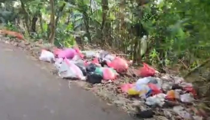 Miris! Jalan Sawo Jatiraden Bekasi Jadi Tempat Sampah Liar Bertahun-tahun, Solusi Tak Kunjung Datang