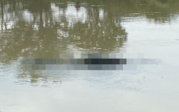 Mayat Tanpa Identitas Ditemukan Mengambang di Kalimalang
