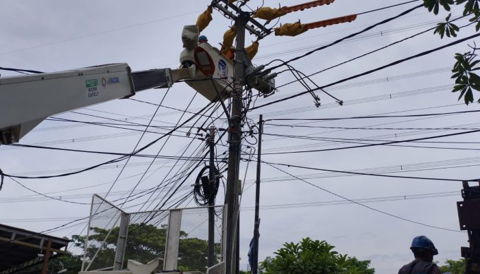Antisipasi Cuaca Ekstrem, Tim PDKB PLN Bekasi Tingkatkan Keandalan Jaringan dengan Pemeliharaan Tanpa Padam