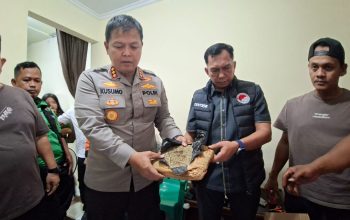 Polres Metro Bekasi Kota Bongkar Peredaran 30 Kg Ganja Jaringan Sumatera, Satu Bandar Diamankan