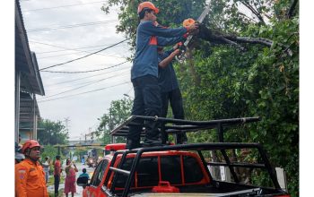 BPBD Kota Bekasi Evakuasi Pohon Tumbang di Rawalumbu Usai Hujan Deras