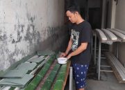 Kenaikan Dolar Picu Harga Kedelai Impor, Produsen Tempe di Bekasi Mulai Tertekan