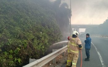 Lahan Kering Terbakar di Pinggir Tol Bekasi Barat, Kerugian Ditaksir Rp150 Juta