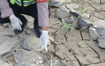 Tengkorak Manusia Ditemukan di Pinggir Sungai Citarum Bekasi, Polisi Lakukan Pemeriksaan